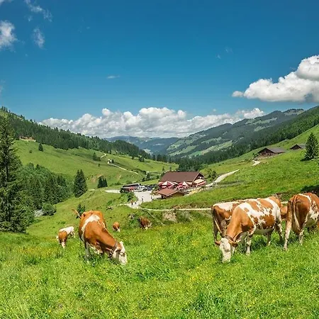 호텔 Haus Am Wildbach 아우파흐