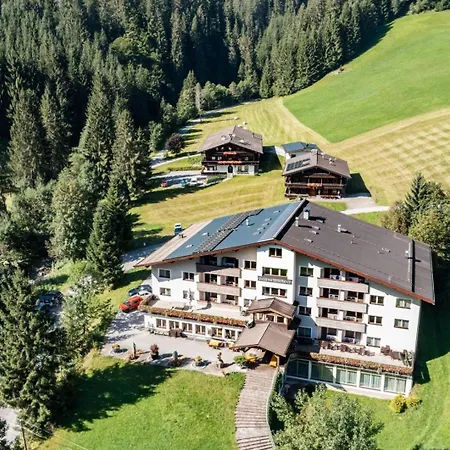Hotel Haus Am Wildbach 3*